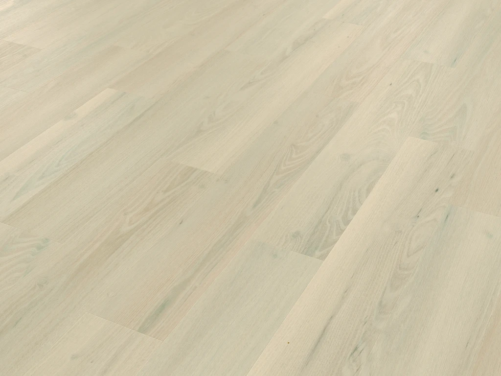 Norfolk Acacia KP159 A_CM